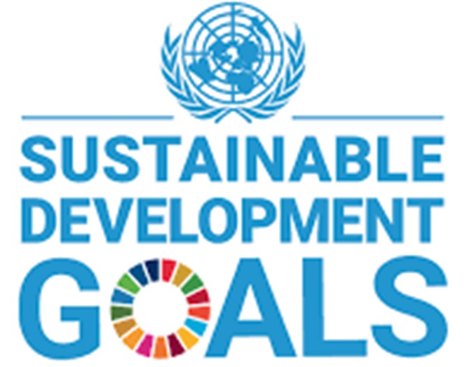 持続可能な成長を、確かな経営戦略へ｜伴走型SDGs・サステナビリティ経営コンサルティングの画像