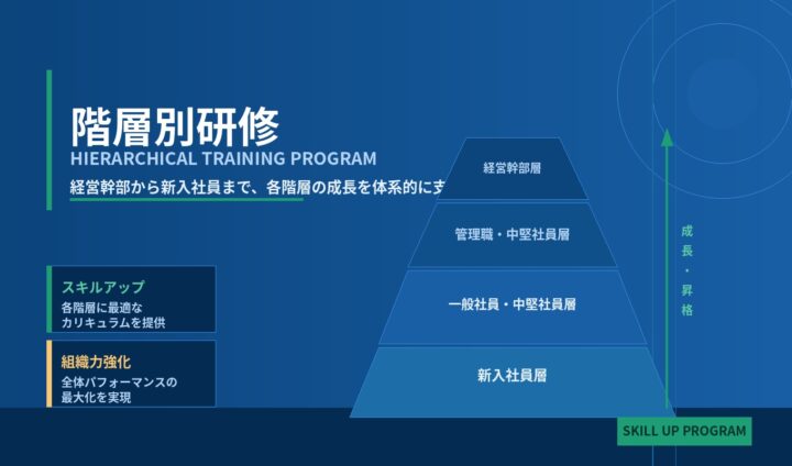 組織を強くする、階層別研修 ～ 経営幹部から新入社員まで、各階層の役割と成長を体系的に支援します ～の画像